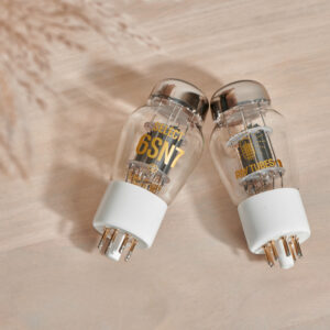 Ray Vacuum Tube - 6SN7 Select