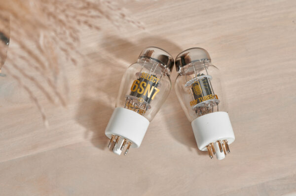 Ray Vacuum Tube - 6SN7 Select