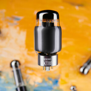 Ray Vacuum Tube - KT88 Reserve